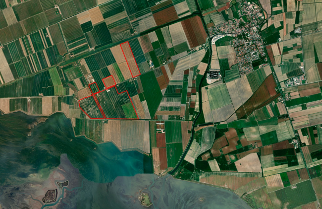 Il Progetto Agronomico: Oasi Agro-Energetica di Aquileia